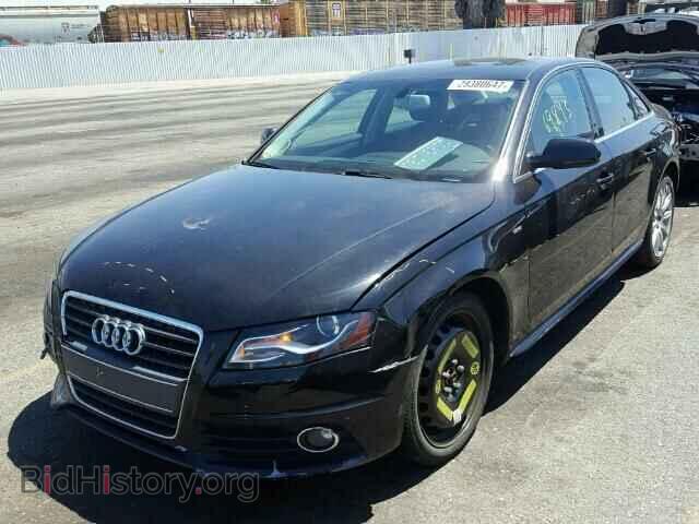 2012 AUDI A4 - VIN: WAUEFAFL7CN004563 - Фото 2
