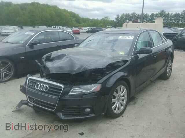 2010 AUDI A4 - VIN: WAUFFAFL8AN040344 - Фото 2