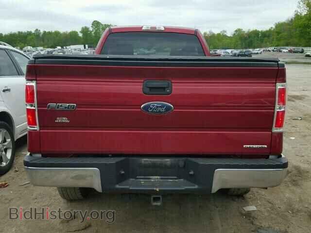 2014 FORD F150 - VIN: 1FTMF1EM7EKD02608 - Фото 6