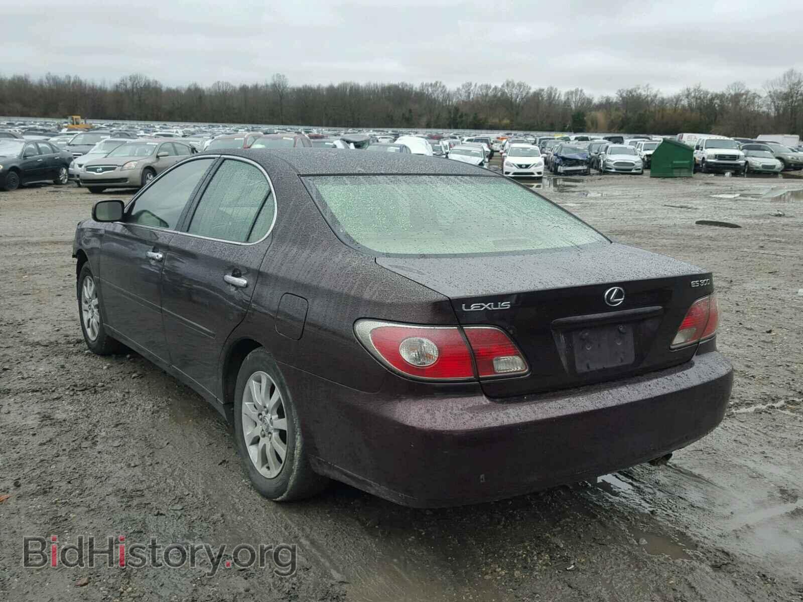 2002 LEXUS ES300 - VIN: JTHBF30G020069486 - Фото 3