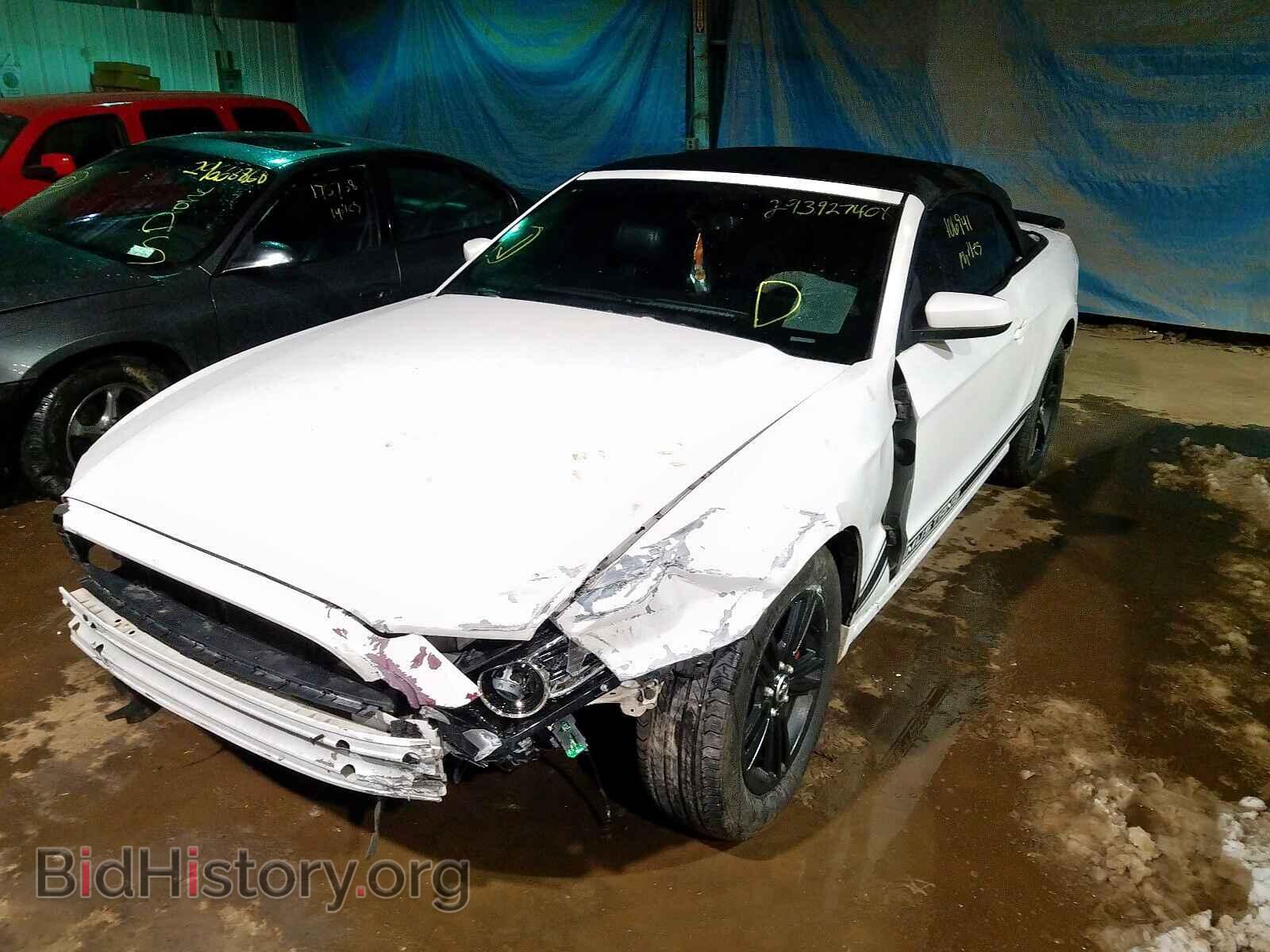 2013 FORD MUSTANG - VIN: 1ZVBP8EM8D5221771 - Фото 2