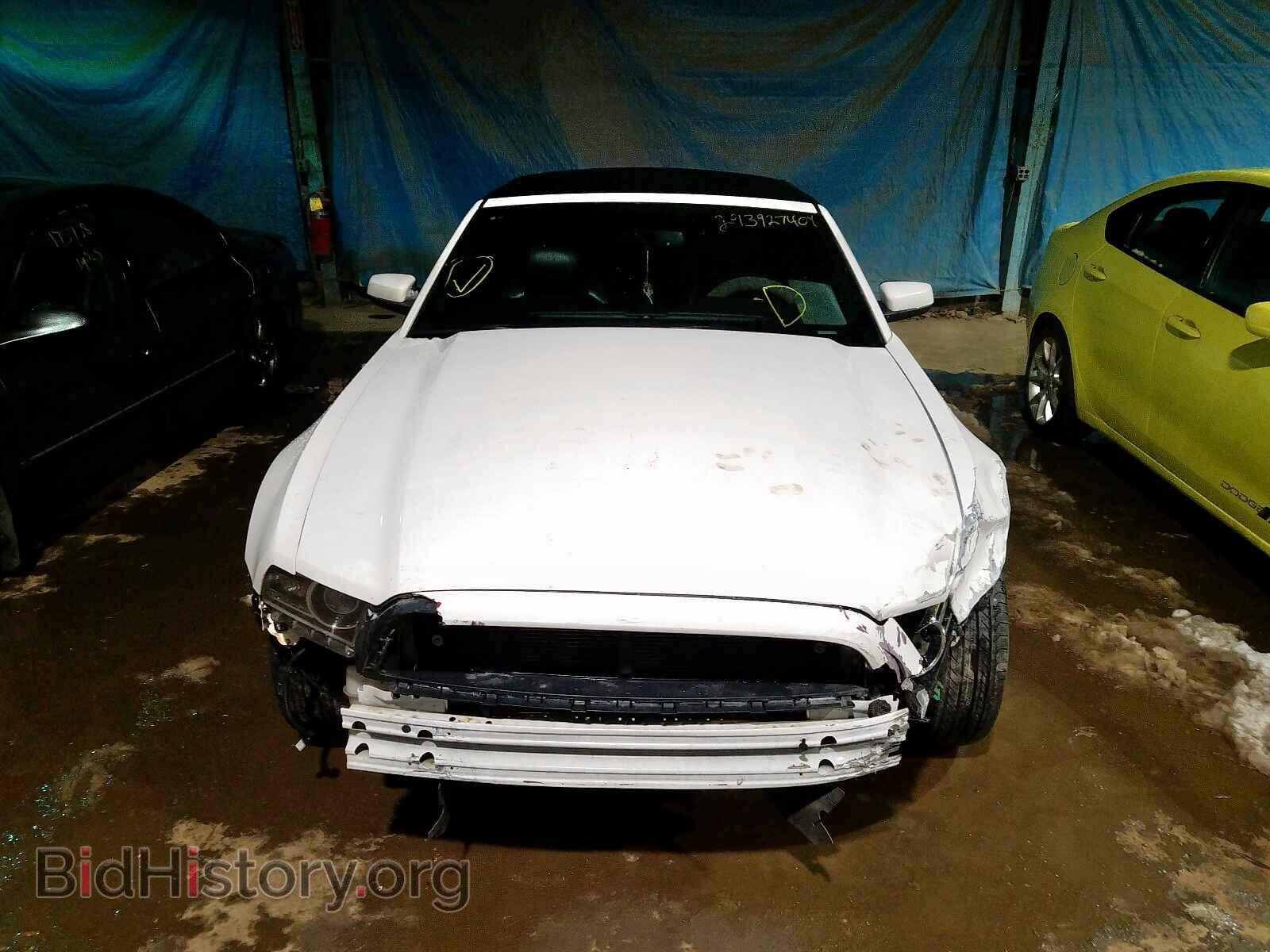 2013 FORD MUSTANG - VIN: 1ZVBP8EM8D5221771 - Фото 9