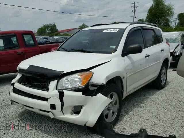 2011 TOYOTA RAV4 - VIN: 2T3BF4DV4BW116563 - Фото 2