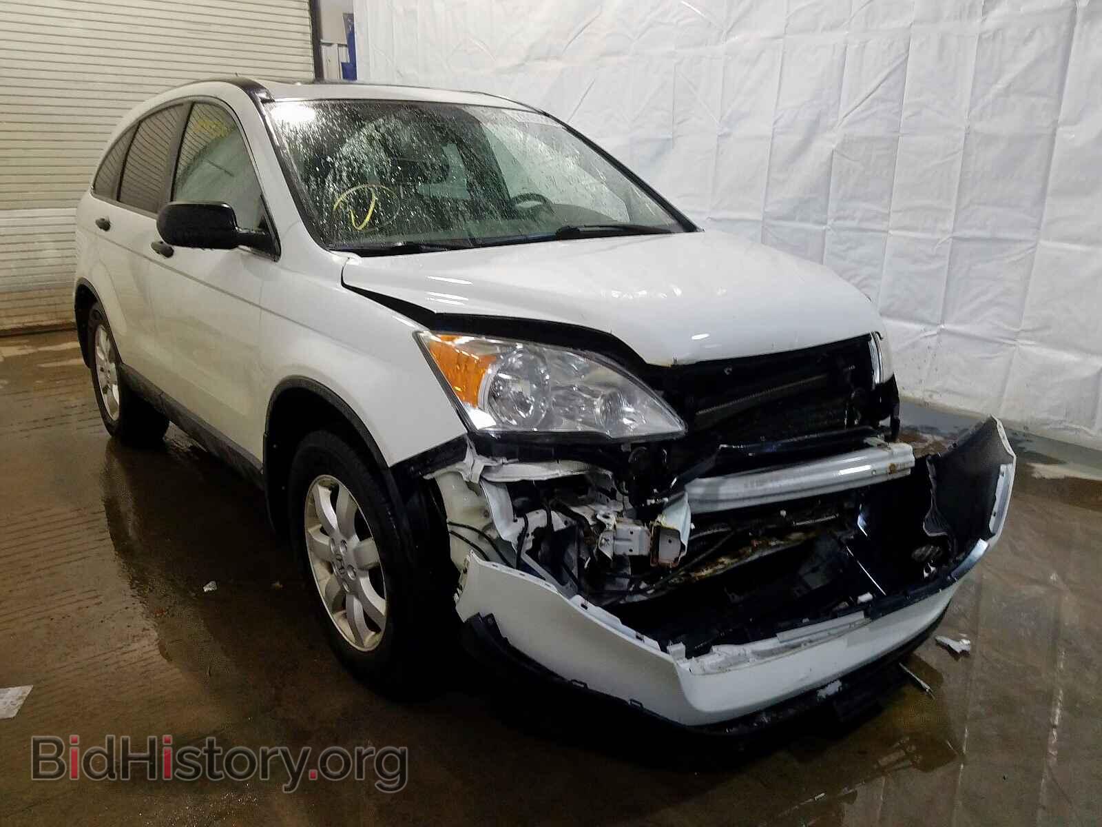 Фотография JHLRE48558C005675 - HONDA CR-V EX 2008