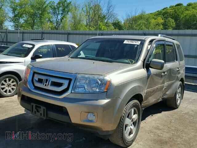 2010 HONDA PILOT - VIN: 5FNYF4H64AB001429 - Фото 2