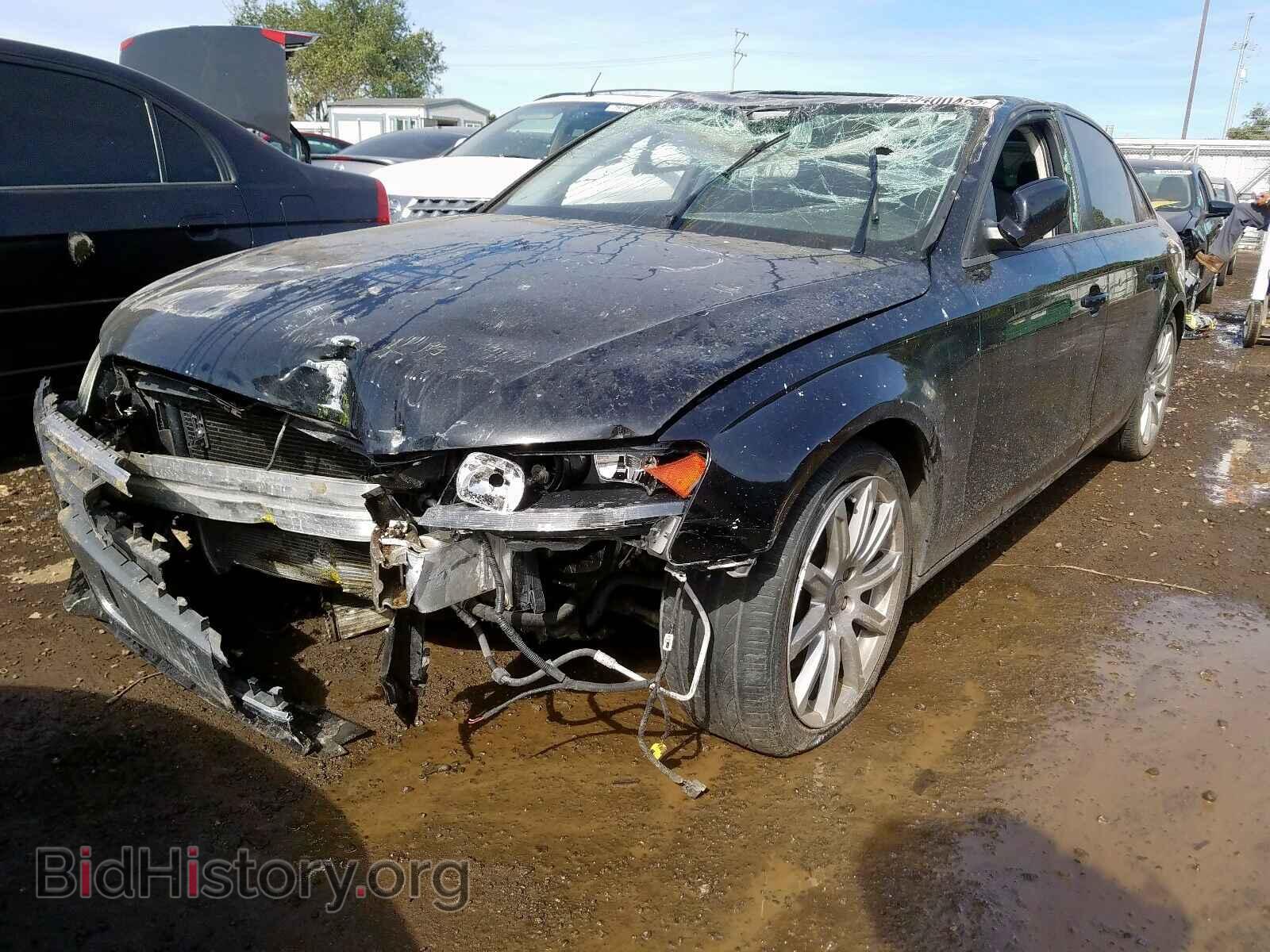 2010 AUDI A4 - VIN: WAUAFAFL1AN031169 - Фото 2