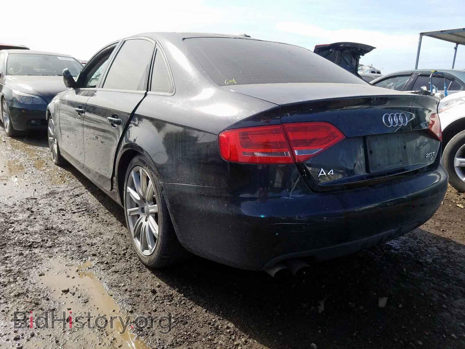 2010 AUDI A4 - VIN: WAUAFAFL1AN031169 - Фото 3