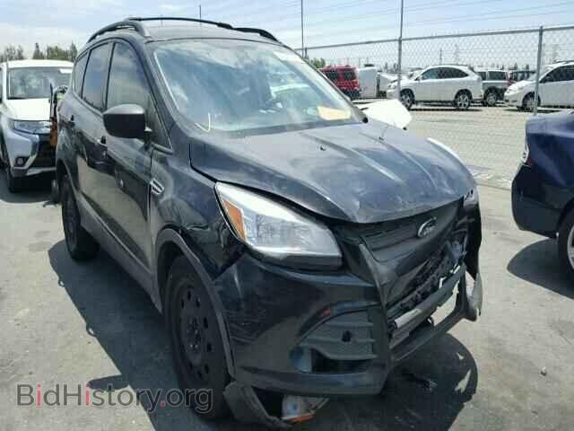 Фотография 1FMCU0F78DUD88109 - FORD ESCAPE 2013
