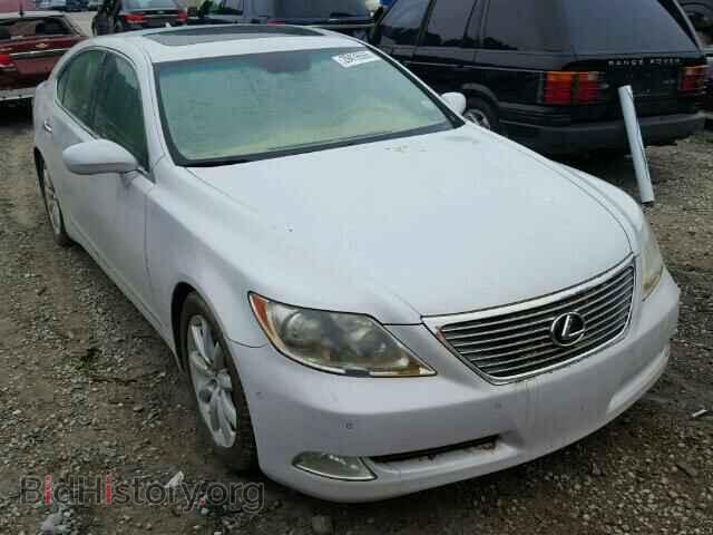 Фотография JTHBL46F085056956 - LEXUS LS460 2008