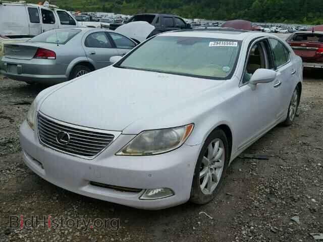 2008 LEXUS LS460 - VIN: JTHBL46F085056956 - Фото 2