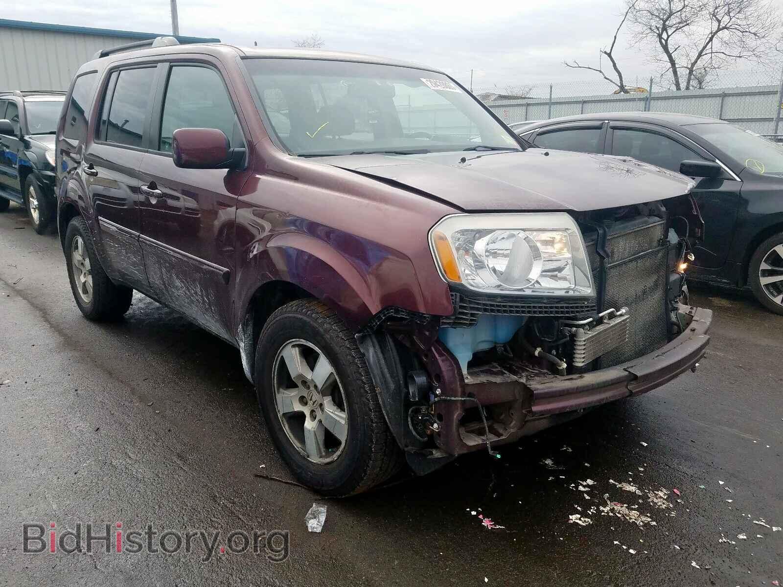 Фотография 5FNYF4H50BB024165 - HONDA PILOT 2011