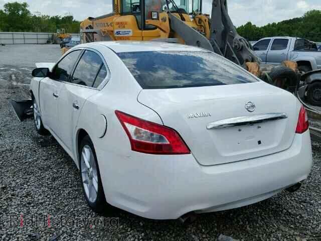 2009 NISSAN MAXIMA - VIN: 1N4AA51E39C810524 - Фото 3