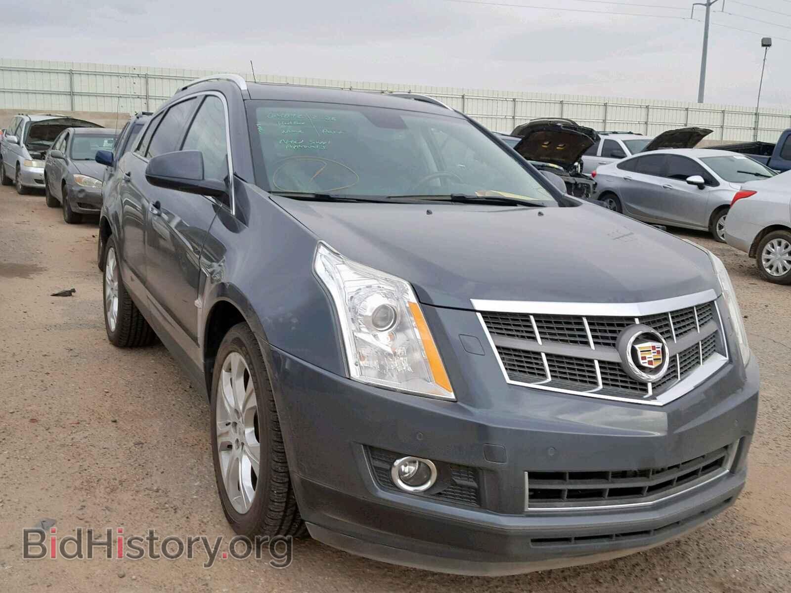 Фотография  - CADILLAC SRX PERFOR 2011