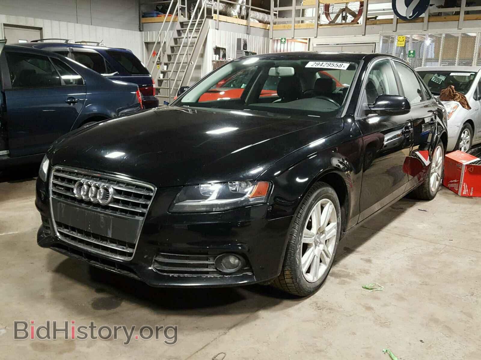 2011 AUDI A4 - VIN: WAUDFAFL1BN035236 - Фото 2
