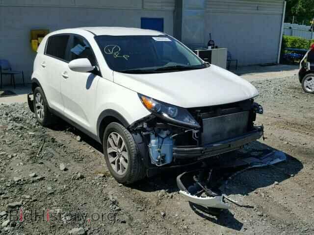 Photo KNDPB3AC4F7744798 - KIA SPORTAGE 2015