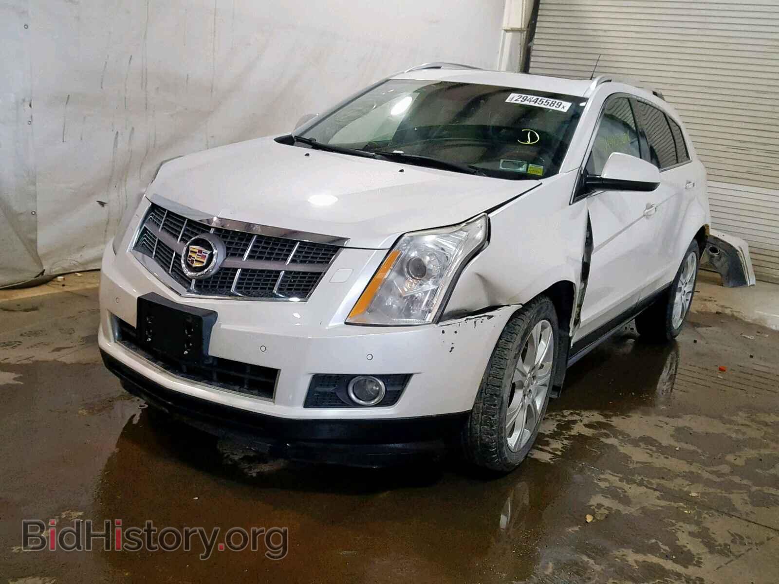 2011 CADILLAC SRX PERFOR - VIN: 3GYFNEEY5BS527416 - Фото 2