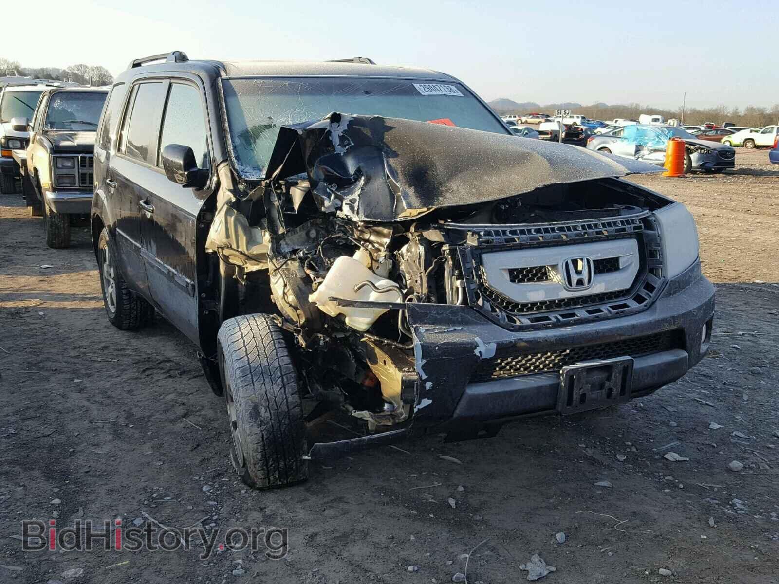 Фотография 5FNYF3H53BB017432 - HONDA PILOT 2011