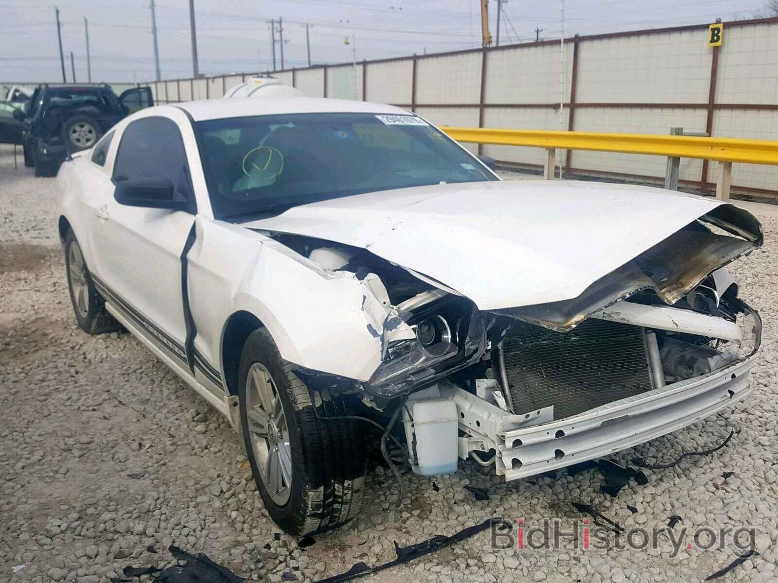Photo 1ZVBP8AM6D5242902 - FORD MUSTANG 2013