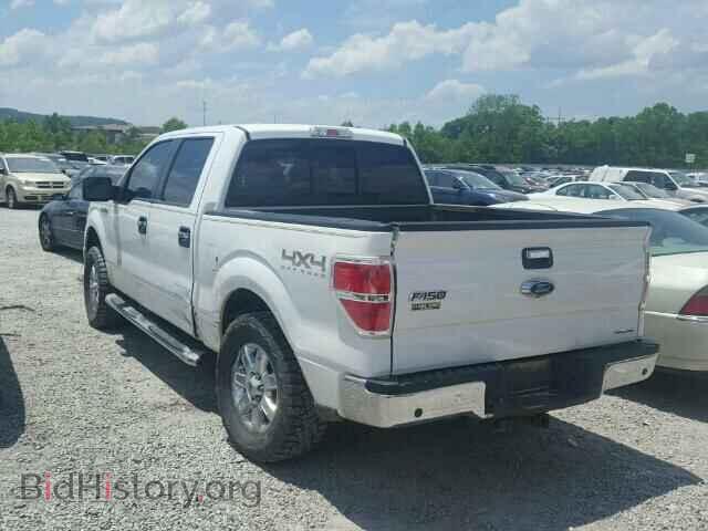 2014 FORD F150 - VIN: 1FTFW1EF9EFD12933 - Фото 3