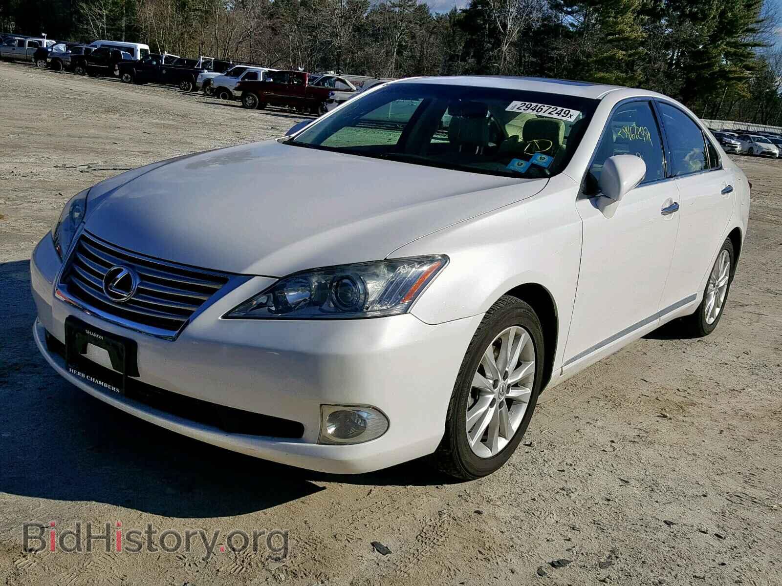 2010 LEXUS ES350 - VIN: JTHBK1EG8A2362810 - Фото 2