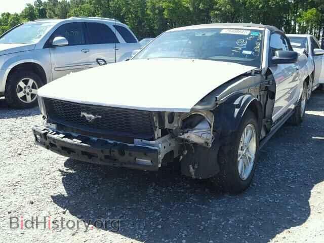 2006 FORD MUSTANG - VIN: 1ZVFT84N365217962 - Фото 2