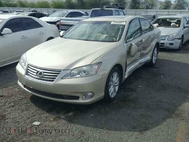 2011 LEXUS ES350 - VIN: JTHBK1EGXB2469746 - Фото 2