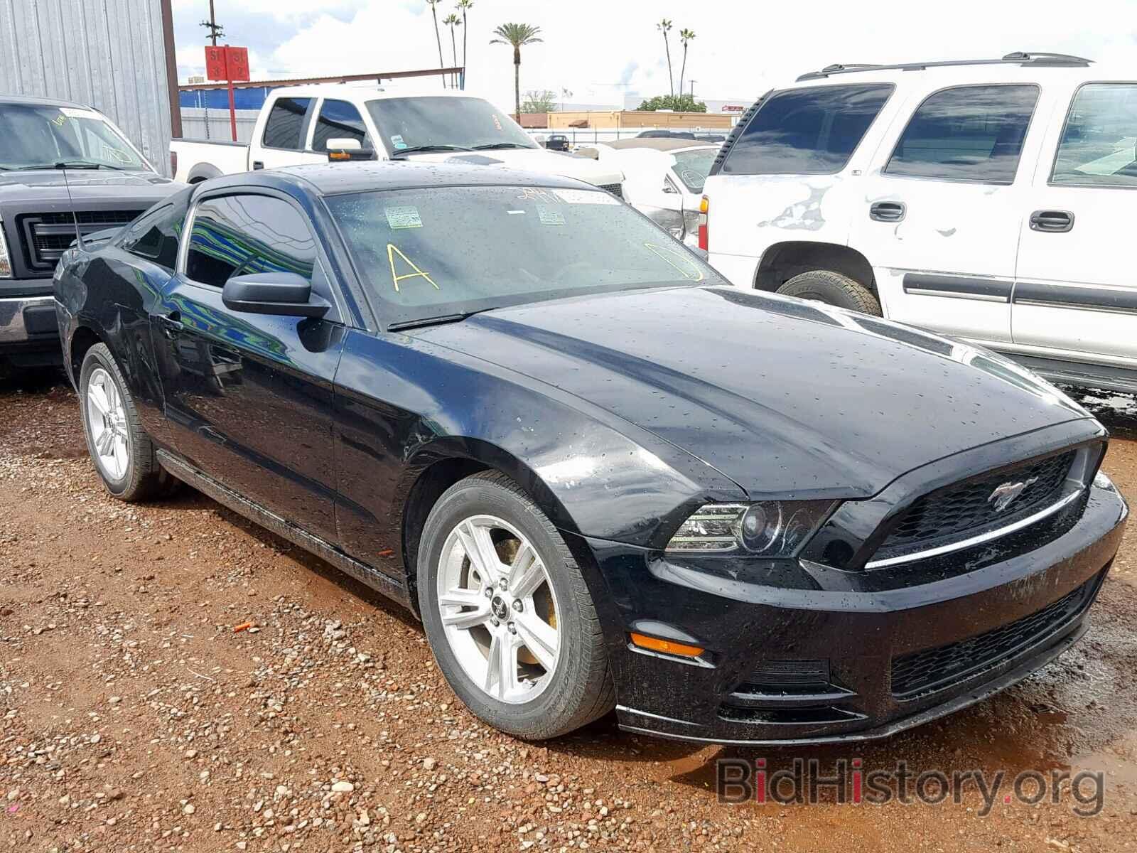 Photo 1ZVBP8AM5D5203234 - FORD MUSTANG 2013