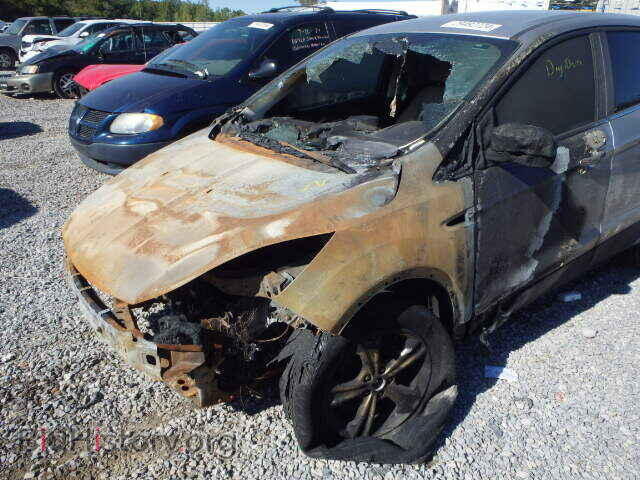 2013 FORD ESCAPE - VIN: 1FMCU0GX9DUC19585 - Фото 9