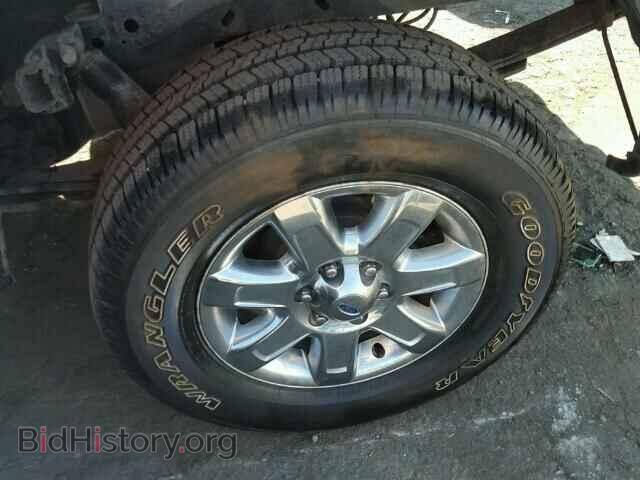2013 FORD F150 - VIN: 1FTFW1EF7DFD49199 - Фото 10