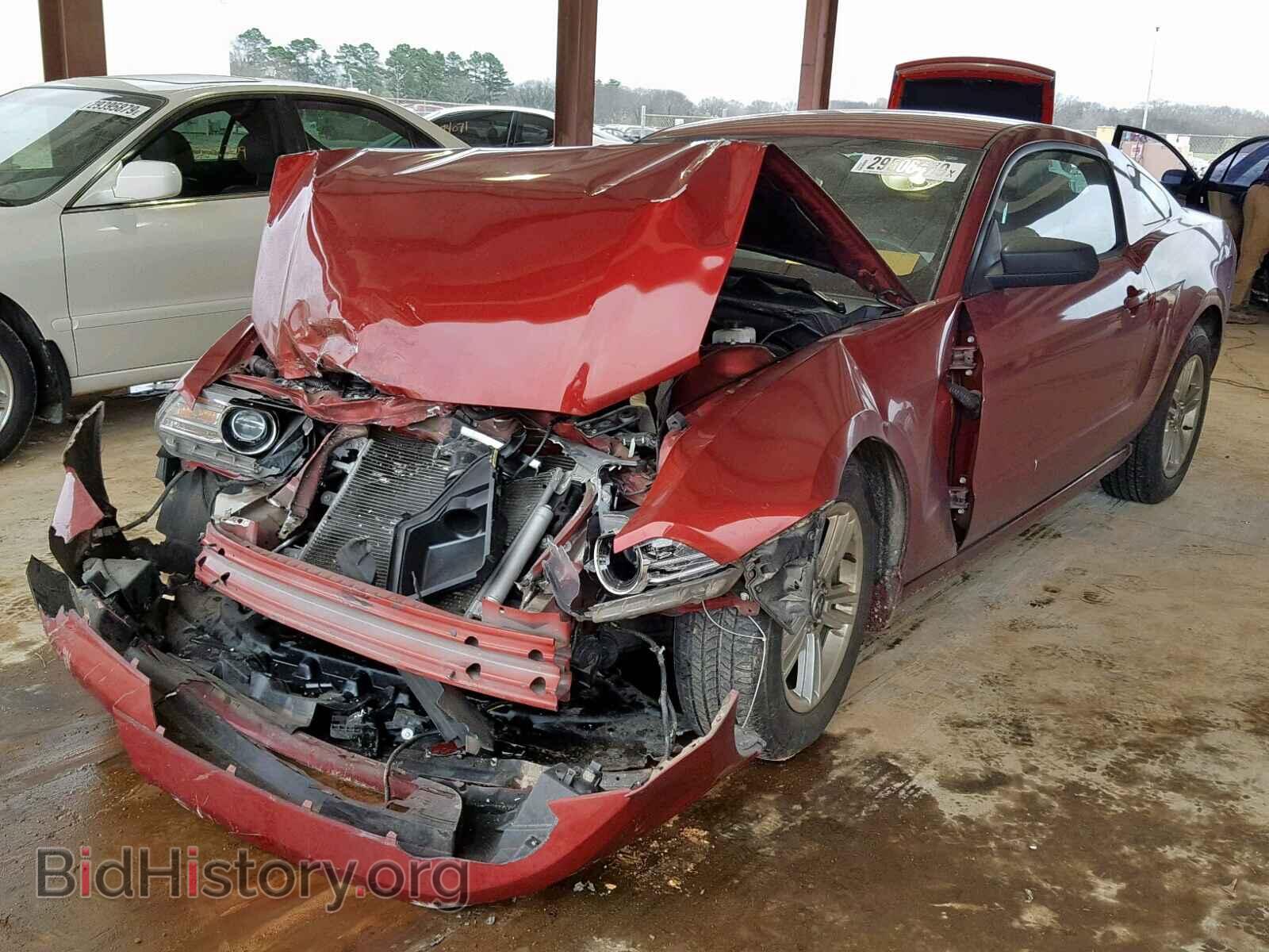 2014 FORD MUSTANG - VIN: 1ZVBP8AM9E5267701 - Фото 2