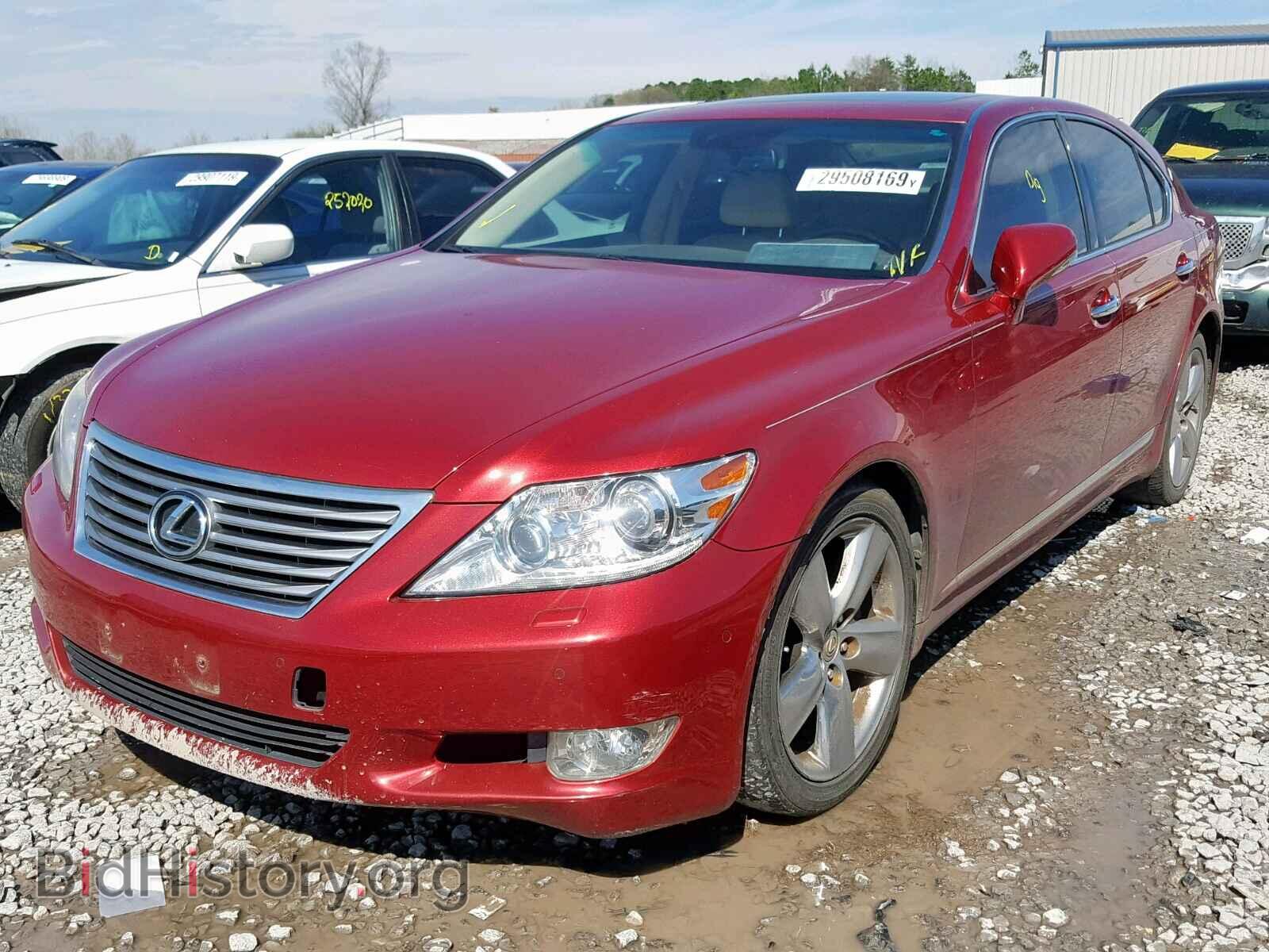2010 LEXUS LS460 - VIN: JTHBL5EF2A5097442 - Фото 2