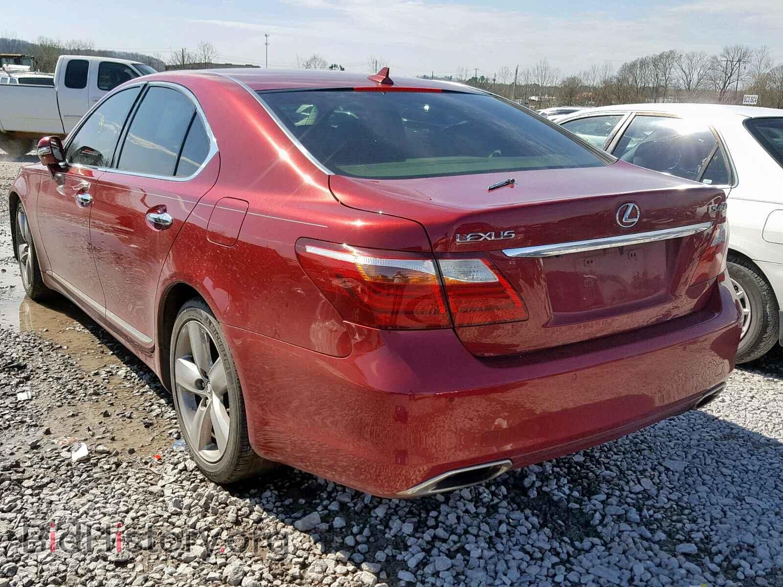 2010 LEXUS LS460 - VIN: JTHBL5EF2A5097442 - Фото 3