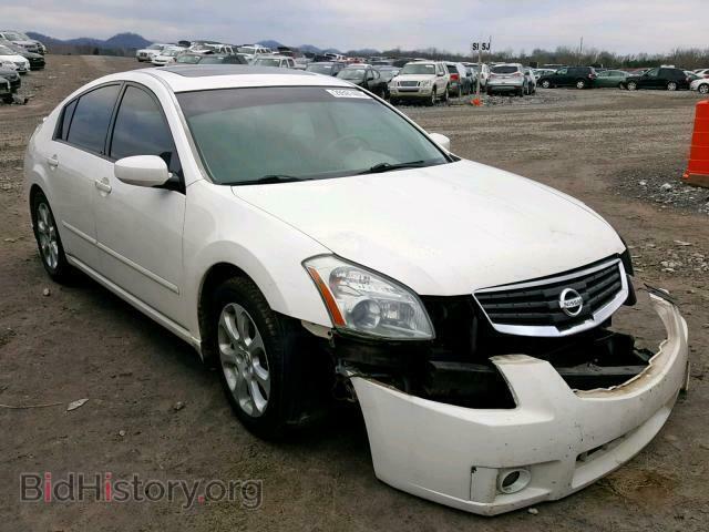 Photo 1N4BA41E27C845065 - NISSAN MAXIMA 2007
