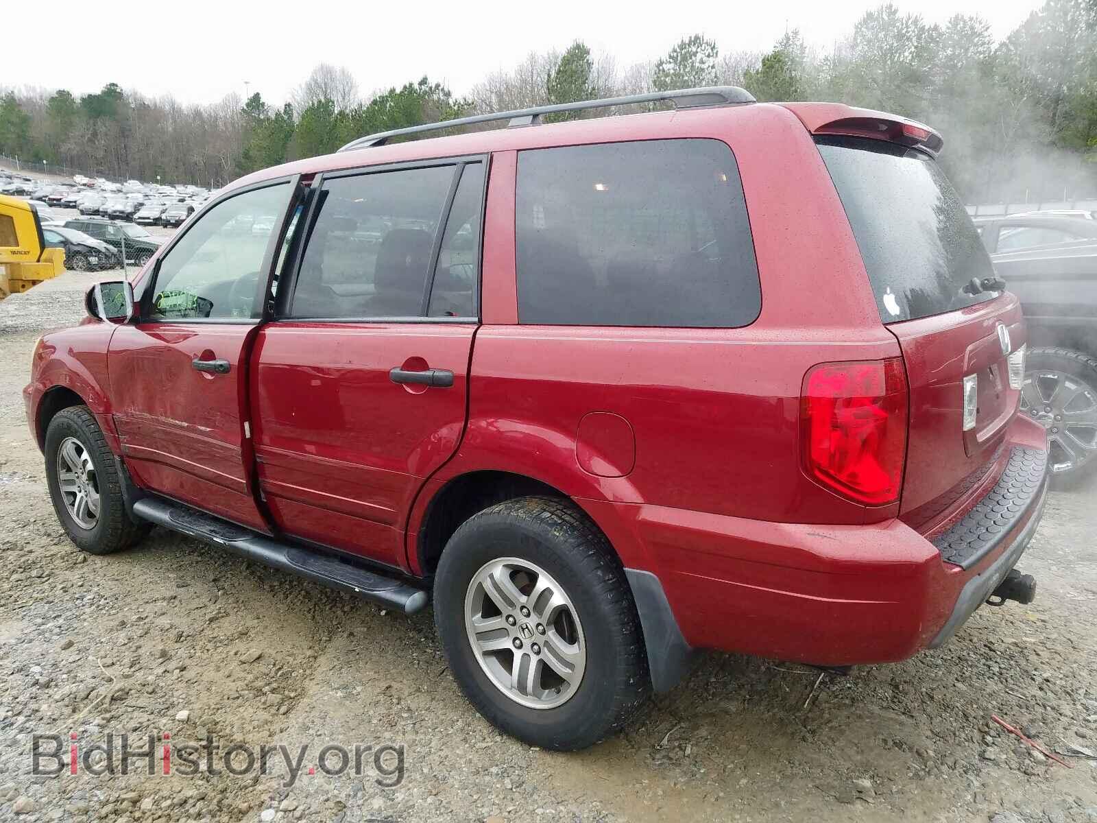 2005 HONDA PILOT - VIN: 5FNYF18445B010618 - Фото 3