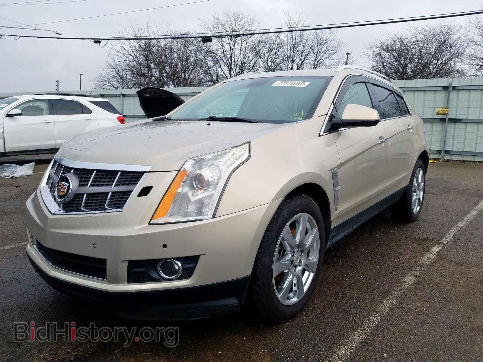 2010 CADILLAC SRX PERFOR - VIN: 3GYFNEEY5AS500313 - Фото 2