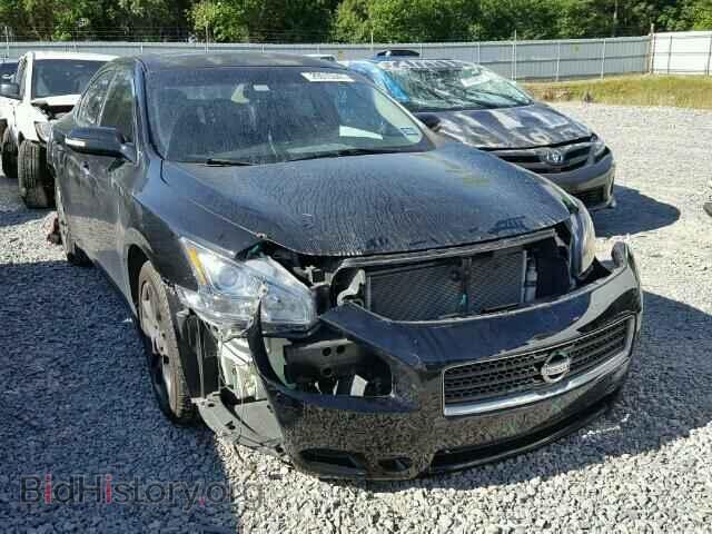 Фотография 1N4AA5AP8AC824747 - NISSAN MAXIMA 2010