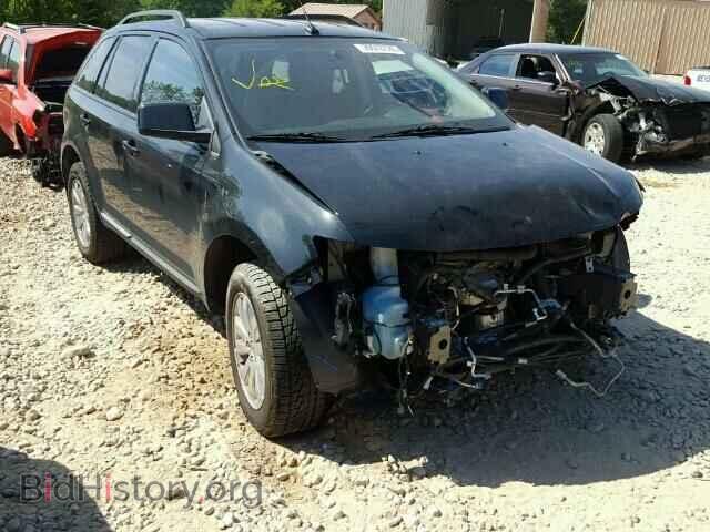 Фотография 2FMDK3JC4ABB71464 - FORD EDGE 2010