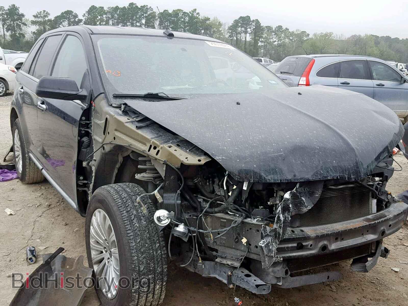Фотография 2LMDJ6JK5DBL30951 - LINCOLN MKX 2013