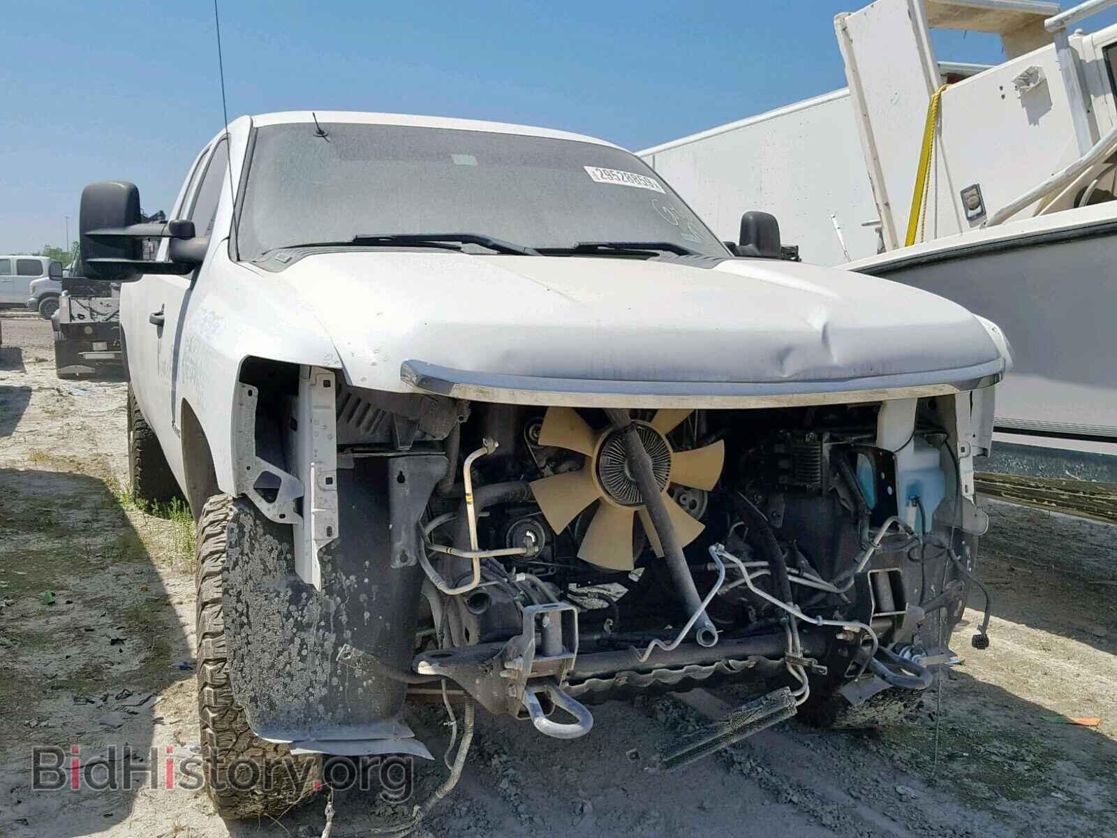 Photo 1GC2CVCG1BZ190864 - CHEVROLET SILVERADO 2011