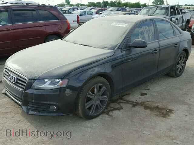 2010 AUDI A4 - VIN: WAUAFAFL7AN015218 - Фото 2