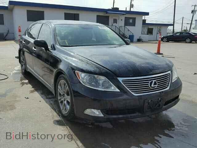 Фотография JTHGL46F285026475 - LEXUS LS460 2008