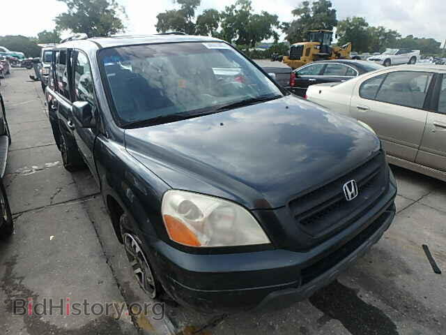 Photo 5FNYF18575B062981 - HONDA PILOT 2005