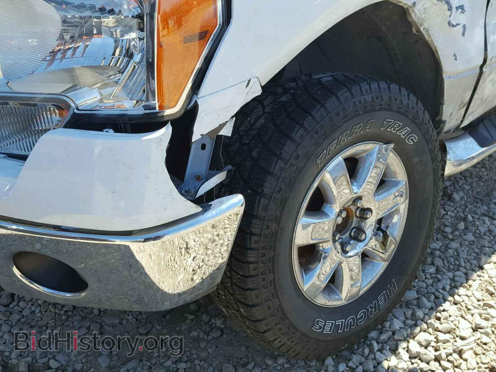 2013 FORD F150 - VIN: 1FTFW1EF0DFD23589 - Фото 10