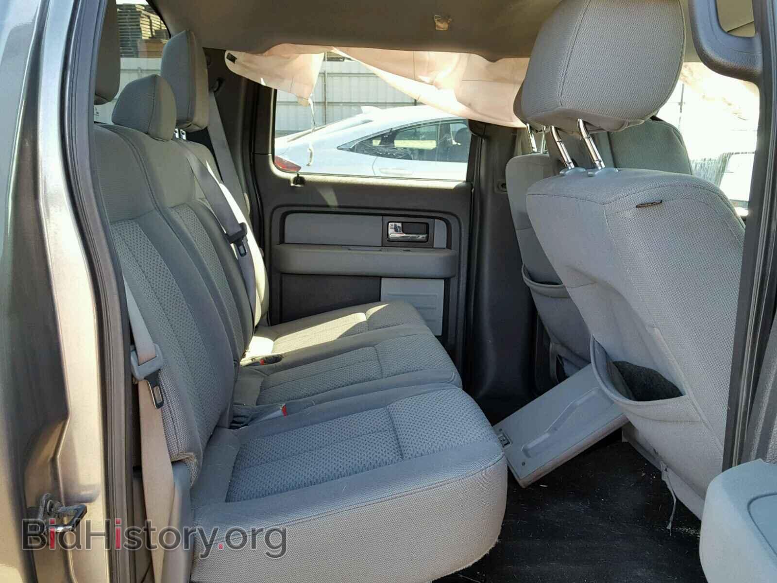 2013 FORD F150 - VIN: 1FTEW1CM3DFD84402 - Фото 6