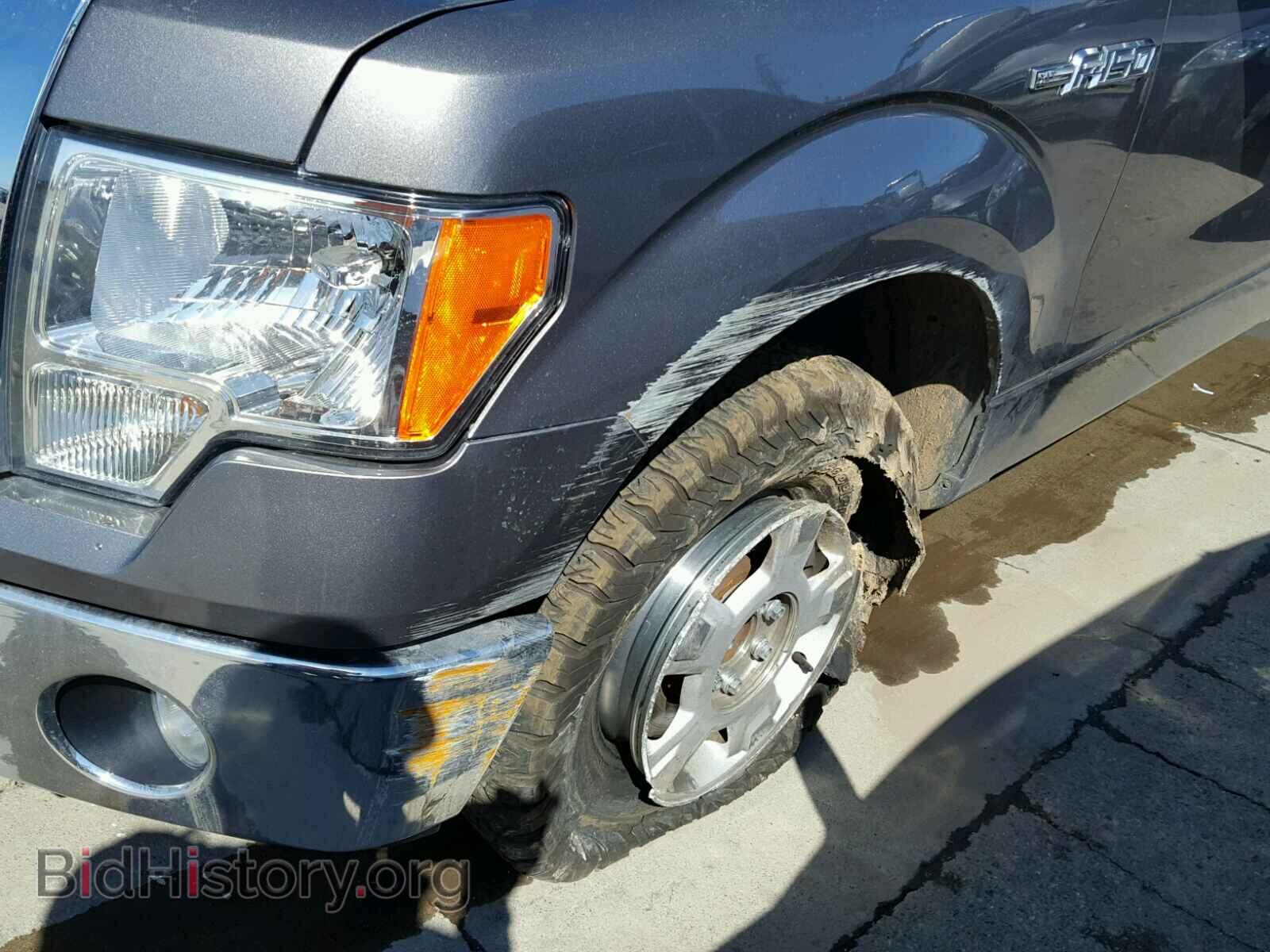 2013 FORD F150 - VIN: 1FTEW1CM3DFD84402 - Фото 9