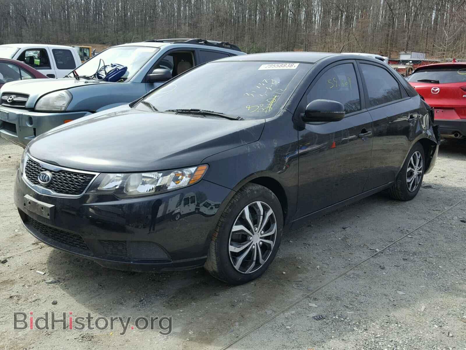 2013 KIA FORTE - VIN: KNAFU4A29D5714124 - Фото 2