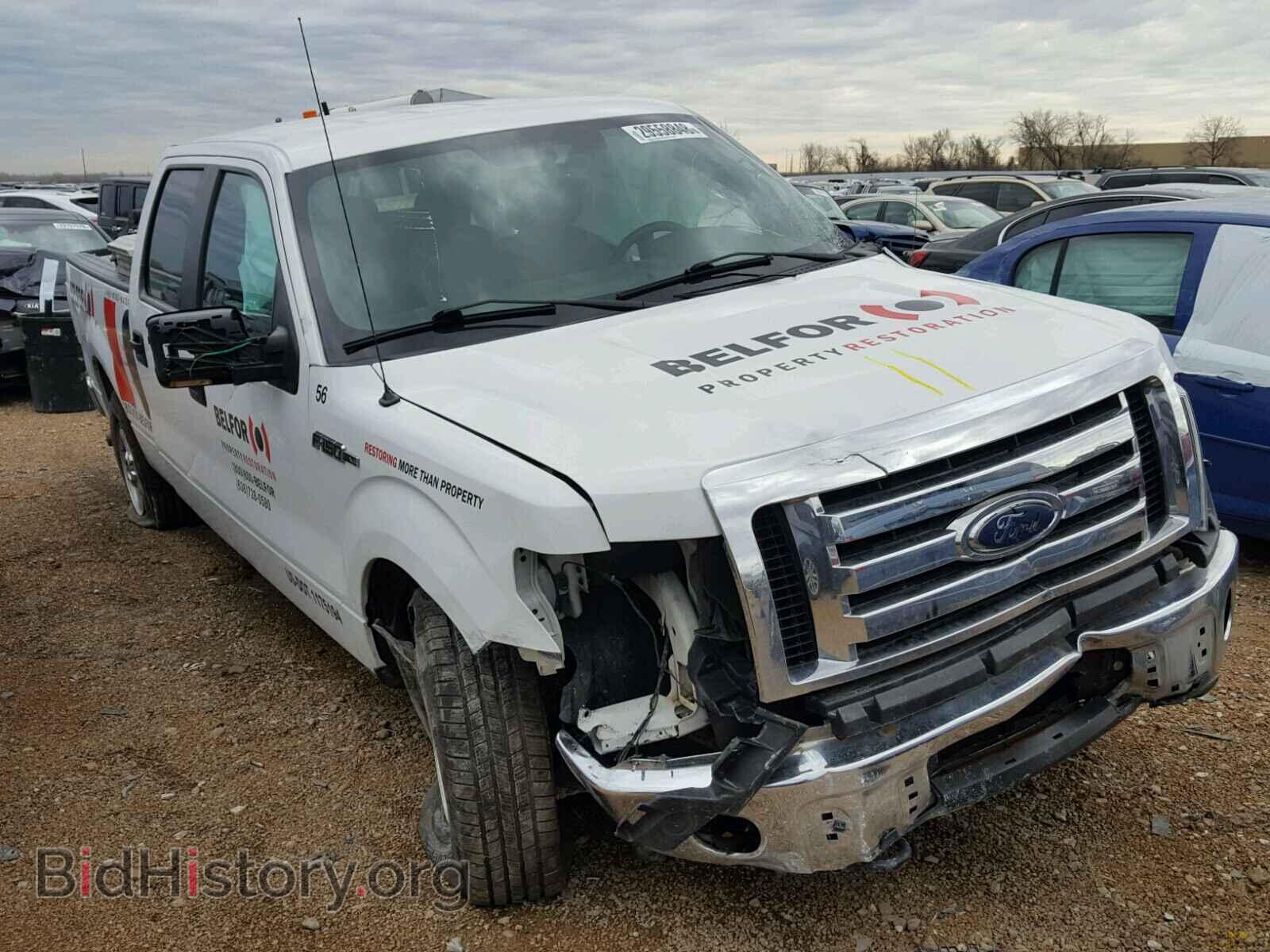 Фотография 1FTFW1EF6CFA46347 - FORD F150 2012