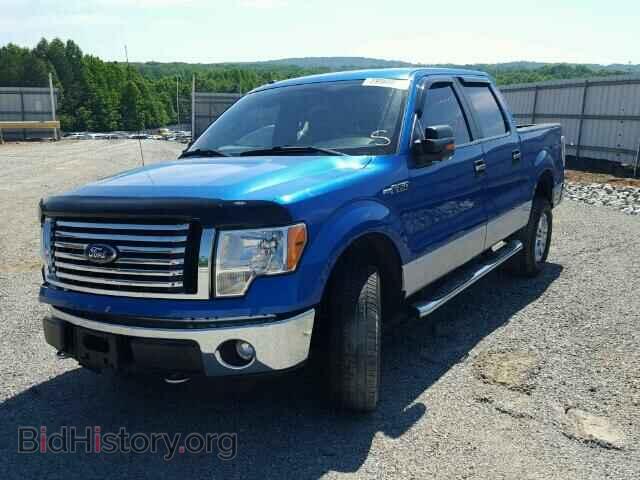 2011 FORD F150 - VIN: 1FTFW1EF2BFA68974 - Фото 2