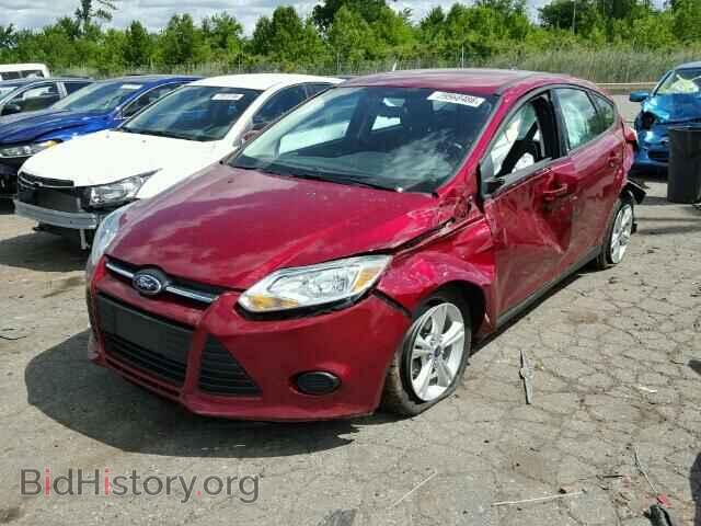 2013 FORD FOCUS - VIN: 1FADP3K2XDL169207 - Фото 2