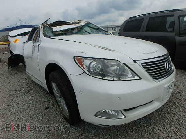 Фотография JTHBL46F885056090 - LEXUS LS460 2008